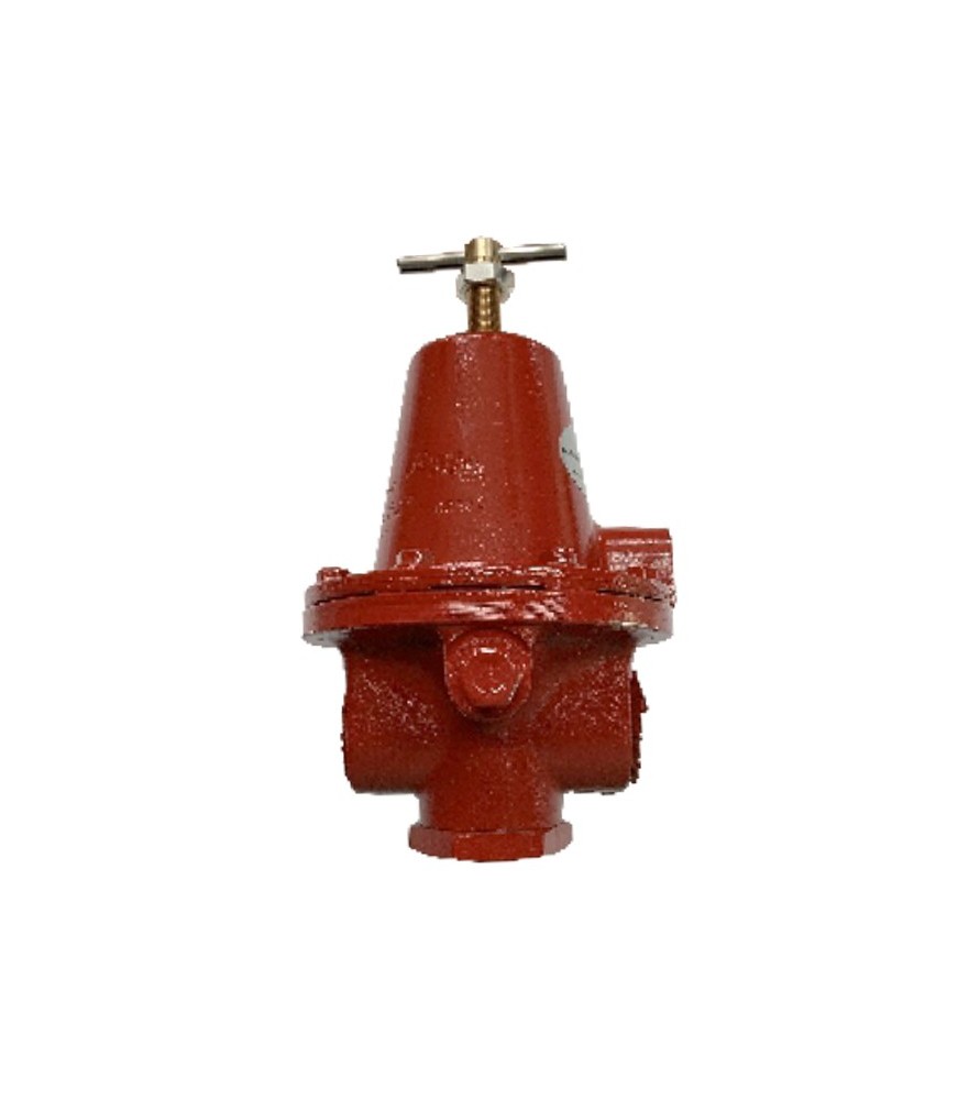 Rego 214.10.21.11 Ρυθμιστής Υγραερίου Υψηλής Πίεσης 160 kg/h